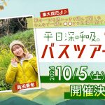レス31番のサムネイル画像