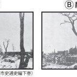 レス2番のサムネイル画像