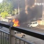 レス26番のサムネイル画像