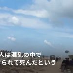 レス1番のサムネイル画像
