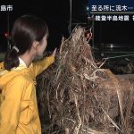 レス1番のサムネイル画像