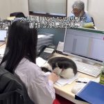 レス1番のサムネイル画像