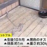 レス1番のサムネイル画像