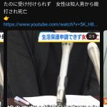 レス1番のサムネイル画像