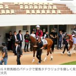 レス1番のサムネイル画像