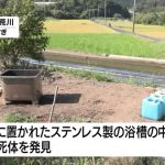 レス4番のサムネイル画像