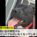 レス1番のサムネイル画像