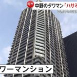 レス1番のサムネイル画像