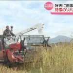 レス1番のサムネイル画像