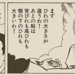 レス1番のサムネイル画像