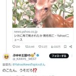レス1番のサムネイル画像