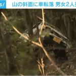 レス2番のサムネイル画像