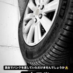 レス2番のサムネイル画像