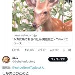 レス1番のサムネイル画像