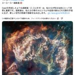 レス12番のサムネイル画像