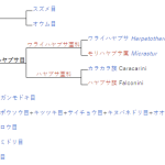 レス15番のサムネイル画像