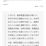 レス11番のサムネイル画像