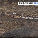 レス1番のサムネイル画像