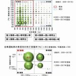 レス14番のサムネイル画像