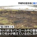 レス1番のサムネイル画像