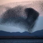 レス10番のサムネイル画像