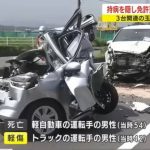 レス29番のサムネイル画像