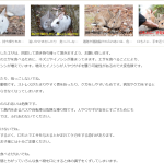 レス44番のサムネイル画像