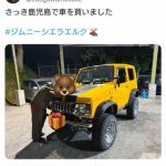 レス1番のサムネイル画像