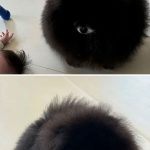 レス2番のサムネイル画像