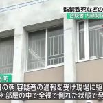レス1番のサムネイル画像