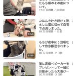 レス1番のサムネイル画像