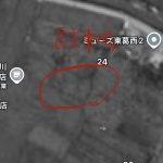 レス1番のサムネイル画像