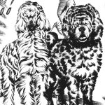 レス8番のサムネイル画像