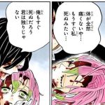レス29番のサムネイル画像