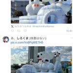 レス2番のサムネイル画像