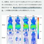 レス1番のサムネイル画像
