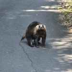 レス14番のサムネイル画像