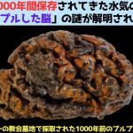 レス2番のサムネイル画像