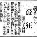 レス2番のサムネイル画像