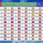 レス2番のサムネイル画像