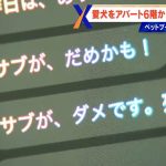 レス1番のサムネイル画像