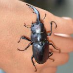 レス1番のサムネイル画像