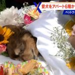 レス1番のサムネイル画像