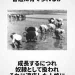 レス10番のサムネイル画像