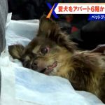 レス1番のサムネイル画像