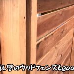 レス1番の画像9