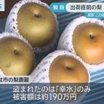 レス1番のリンク先のサムネイル画像