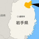 レス1番のリンク先のサムネイル画像