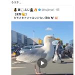 レス16番の画像2
