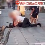レス1番の画像2